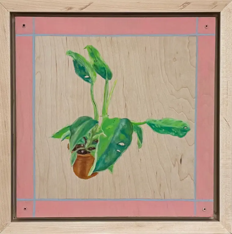 Image for Minty Boo (Philodendron)
