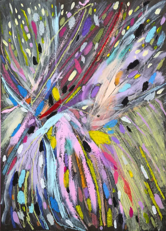 Image for Not the Moth nor Butterfly