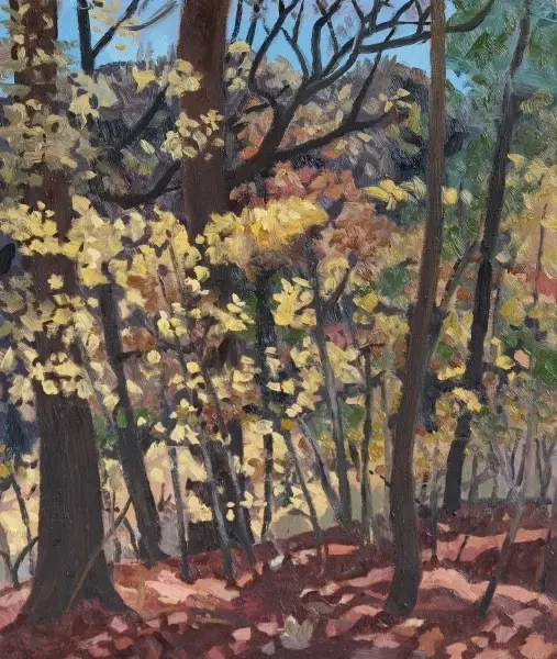 Image for Taylor Creek, Fall